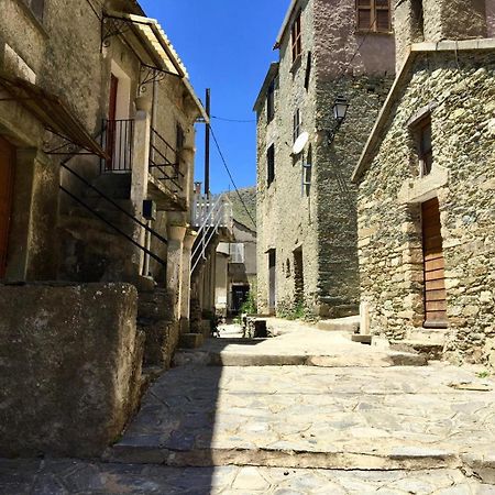 Nuits Magiques Au Village Entre Mer Et Montagnes Bigorno 외부 사진