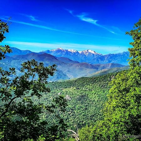 Nuits Magiques Au Village Entre Mer Et Montagnes Bigorno 외부 사진