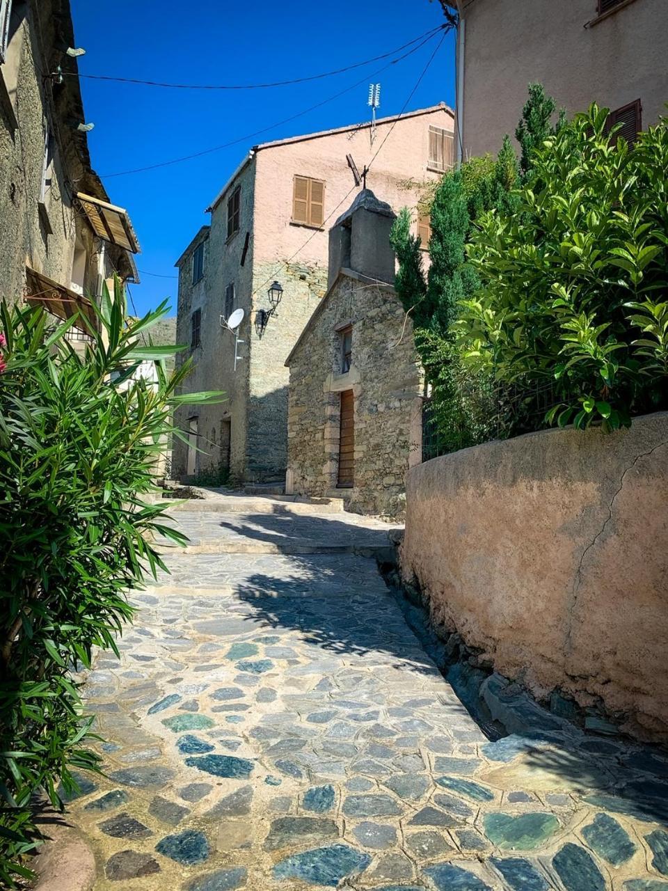 Nuits Magiques Au Village Entre Mer Et Montagnes Bigorno 외부 사진