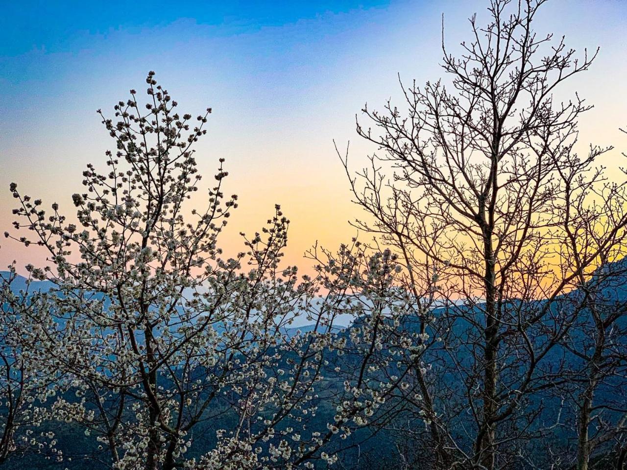 Nuits Magiques Au Village Entre Mer Et Montagnes Bigorno 외부 사진